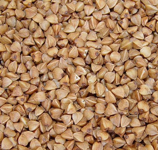 hot selling best quality roasted buckwheat